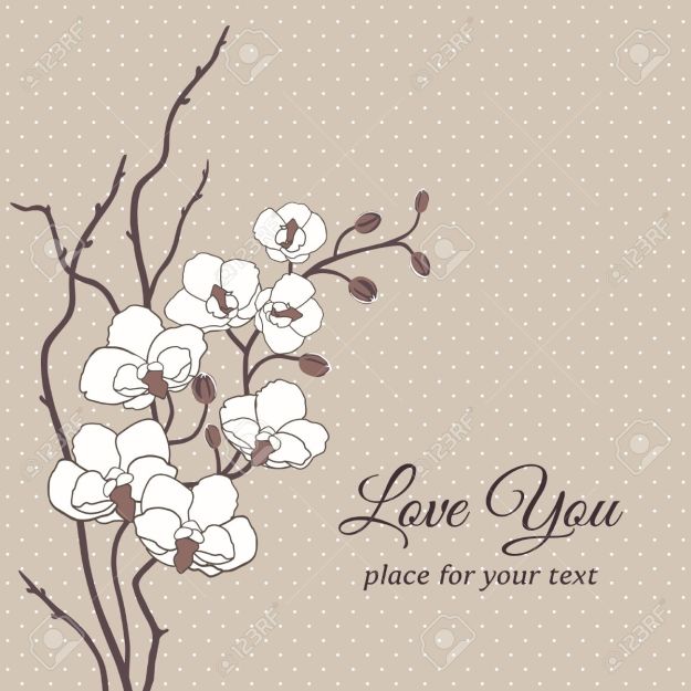 17312654-Romantic-floral-vector-card-with-orchid-flowers-Stock-Vector-orchid-drawing-wedding.jpg